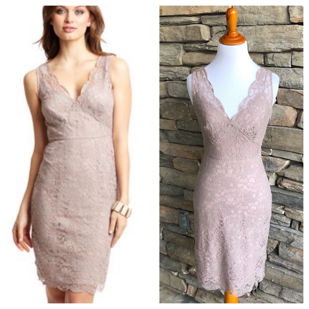 BCBG MaxAzria Lynette Lace Sheath Dress NWT